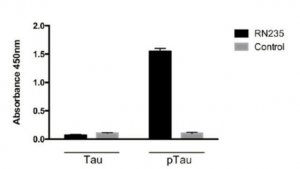 Anti-phospho-Tau (Ser235) Antibody, clone RN235 