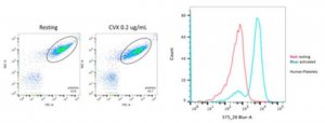 Anti-Platelet Antibody, clone PAC-1 