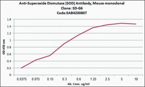 Anti-Superoxide Dismutase (SOD) antibody, Mouse monoclonal 