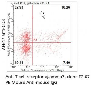 Anti-TCR V7 Antibody, clone F2.67 
