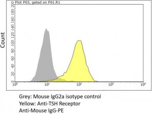 Anti-TSH Receptor Antibody, clone CS-17 
