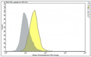 Anti-TSLP Receptor Antibody, clone 1A6 