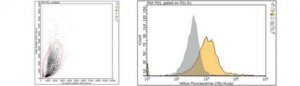 Anti-TSLP Receptor Antibody, clone 22H9 
