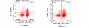 Anti-Tspan-33 Antibody, clone 29A6.2 Antibody, FITC conjugate 