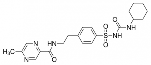 Glipizide 