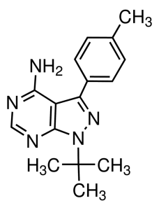 PP1 
