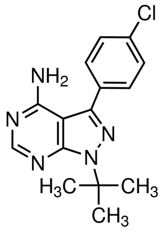 PP2 