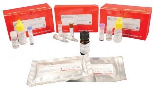Duolink In Situ Orange Starter Kit Goat/Rabbit DUO92106-1KT
