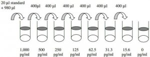 Human -2 Microglobulin ELISA Kit RAB0024-1KT