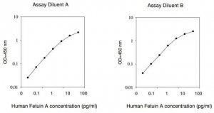 Human AHSG / Alpha-2-HS-glycoprotein ELISA Kit RAB0539-1KT