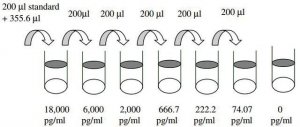 Human Angiopoietin-1 ELISA Kit RAB0015-1KT
