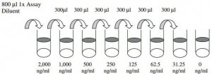 Human Angiostatin ELISA Kit RAB0407-1KT