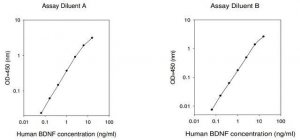 Human BDNF ELISA Kit RAB0026-1KT