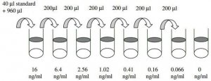 Human BDNF ELISA Kit RAB0026-1KT