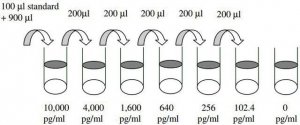 Human bFGF ELISA Kit RAB0182-1KT