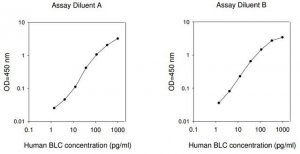 Human BLC / BCA-1 / CXCL13 ELISA Kit RAB0126-1KT