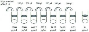 Human BMP-4 ELISA Kit RAB0029-1KT