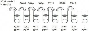 Human BMP-4 ELISA Kit RAB0030-1KT