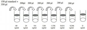 Human BMP-5 ELISA Kit RAB0031-1KT