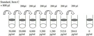 Human BMP-6 ELISA Kit RAB0032-1KT