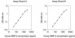 Human BMP2 ELISA Kit RAB0028-1KT