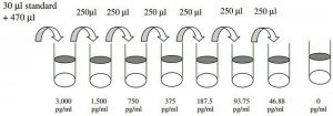 Human BMP2 ELISA Kit RAB0028-1KT