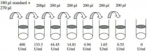 Human Carbohydrate Antigen 125 / Mucin-16 ELISA Kit RAB0376-1KT
