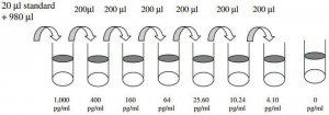 Human Cathepsin S ELISA Kit RAB0111-1KT