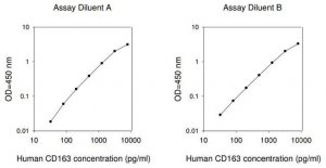 Human CD163 ELISA Kit RAB0082-1KT