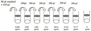 Human CD163 ELISA Kit RAB0082-1KT
