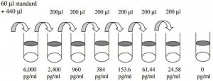 Human CD200 ELISA Kit RAB0083-1KT
