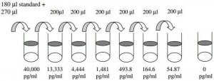 Human CD40 ELISA Kit RAB0085-1KT