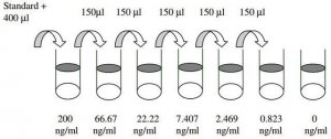 Human CNTF ELISA Kit RAB0093-1KT