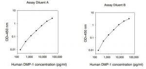 Human DMP1 / Dentin Matrix Acidic Phosphoprotein 1 ELISA Kit RAB0536-1KT