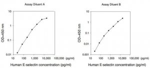 Human E-Selectin ELISA Kit RAB0422-1KT