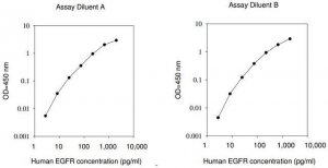 Human EGFR / ErbB1 ELISA Kit RAB0160-1KT