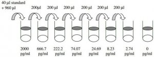 Human EGFR / ErbB1 ELISA Kit RAB0160-1KT