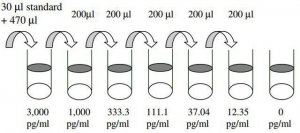 Human Endoglin ELISA Kit RAB0171-1KT