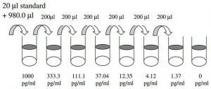 Human Eotaxin-2 / CCL24 ELISA Kit RAB0066-1KT