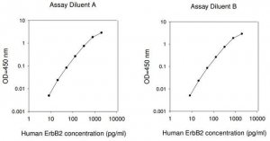Human ErbB2 / HER2 ELISA Kit RAB0173-1KT