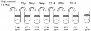Human ErbB3 / HER3 ELISA Kit RAB0174-1KT
