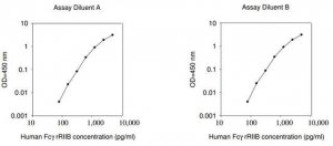 Human FcgRIIBC ELISA Kit RAB0181-1KT