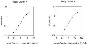 Human Ferritin ELISA Kit RAB0197-1KT
