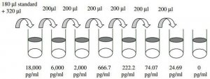 Human FGF-4 ELISA Kit RAB0185-1KT