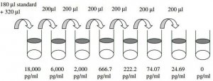 Human FGF-4 ELISA Kit RAB0186-1KT
