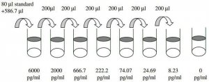 Human FGF-6 ELISA Kit RAB0187-1KT
