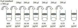 Human FGF-7 ELISA Kit RAB0188-1KT