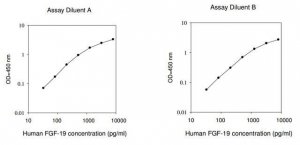 Human FGF19 / Fibroblast Growth Factor 19 ELISA Kit RAB0540-1KT
