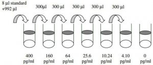 Human fms-related Tyrosine Kinase 3 ligand ELISA Kit RAB0194-1KT