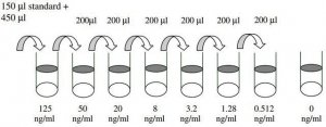 Human Follistatin ELISA Kit RAB0191-1KT